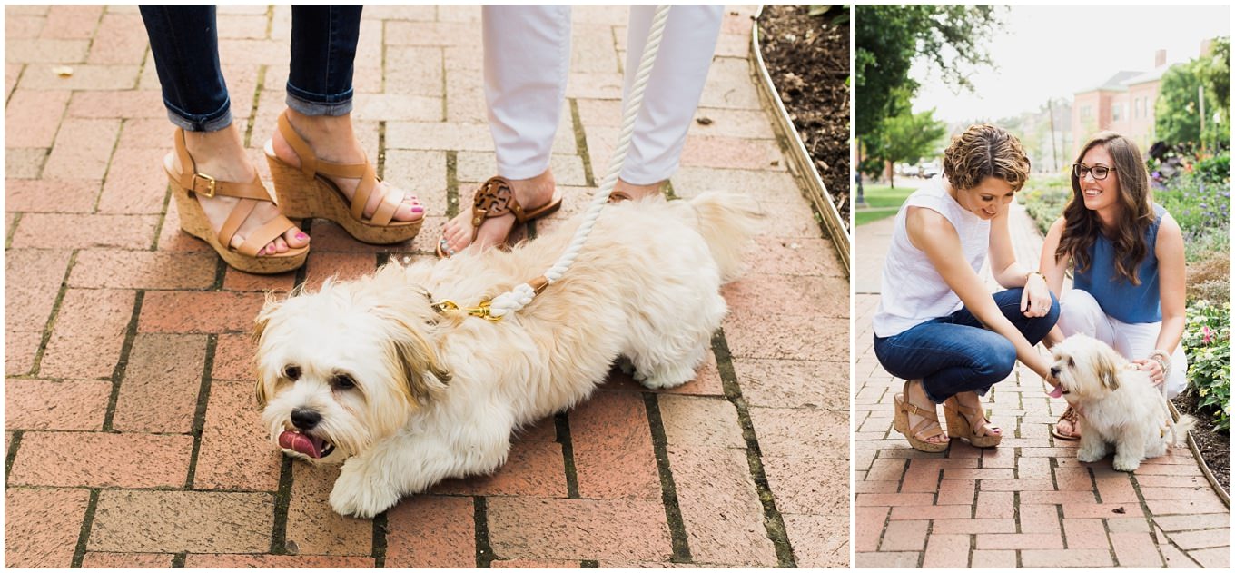 adam lowe photography, engagement session, love, gay, columbus, ohio, pup, german village, downtown, 