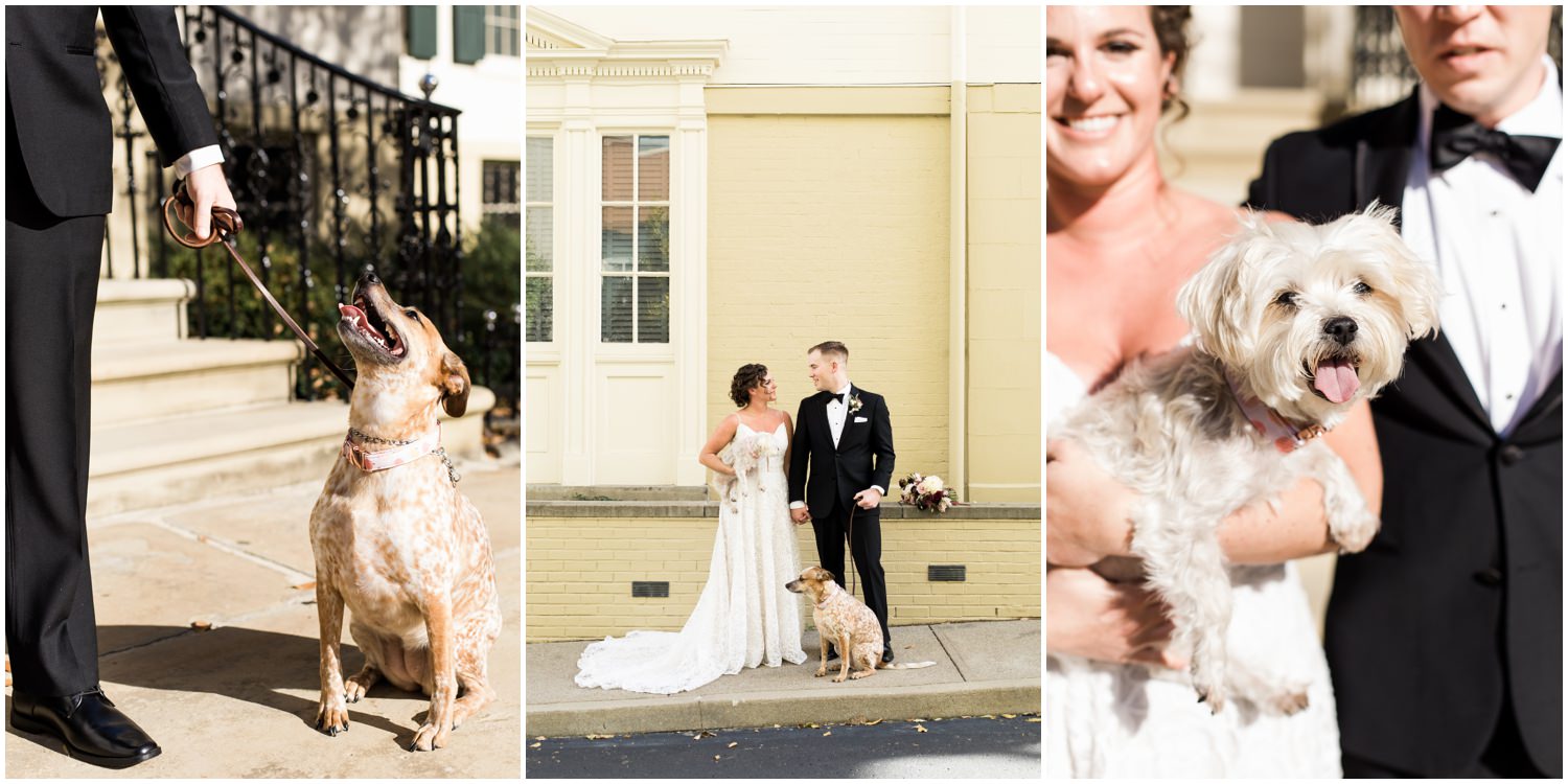 Adam Lowe Photography, Cincinnati, Ohio, based in Columbus Ohio, editorial, wedding, photographer, love, style, taft art museum, classic wedding